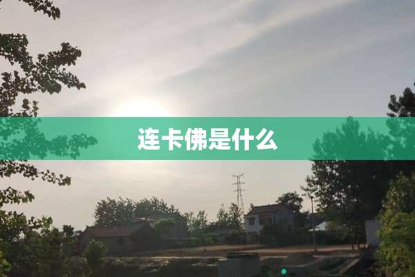 连卡佛是什么