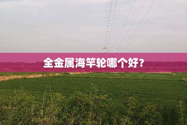 全金属海竿轮哪个好？