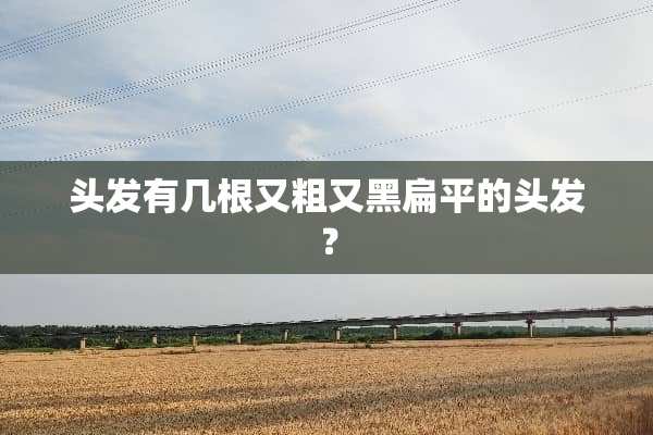 头发有几根又粗又黑扁平的头发？