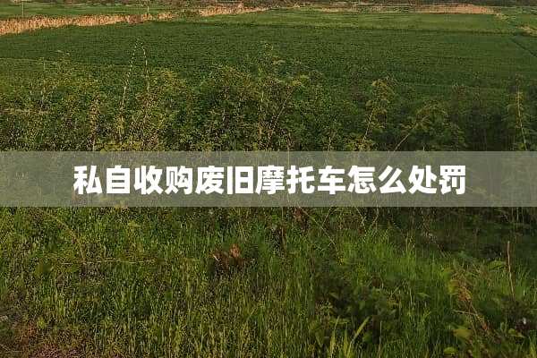 私自收购废旧摩托车怎么处罚