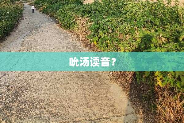 吮汤读音？