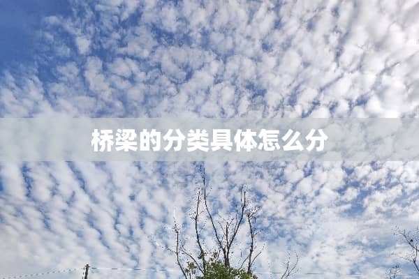 桥梁的分类具体怎么分