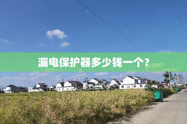 漏电保护器多少钱一个？