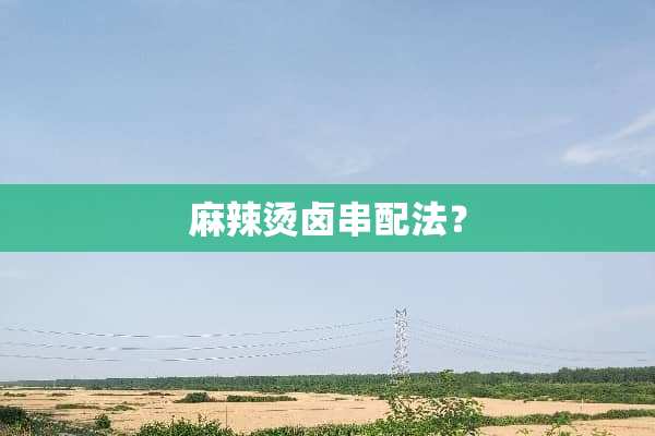 麻辣烫卤串配法？