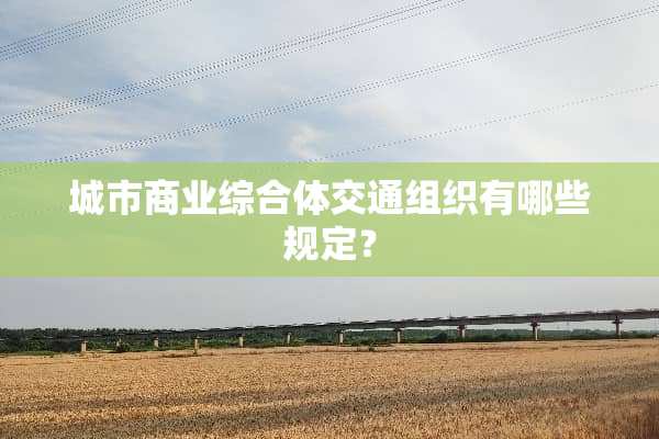 城市商业综合体交通组织有哪些规定？