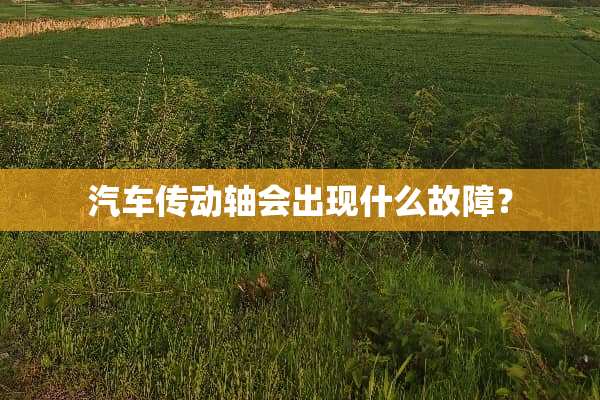 汽车传动轴会出现什么故障？