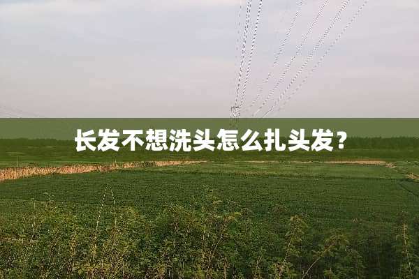 长发不想洗头怎么扎头发？